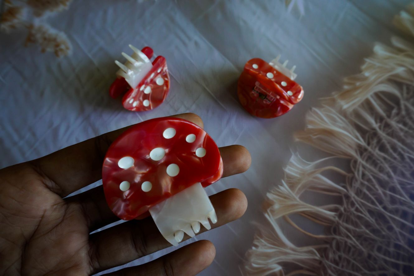 Korean aesthetic claw clip