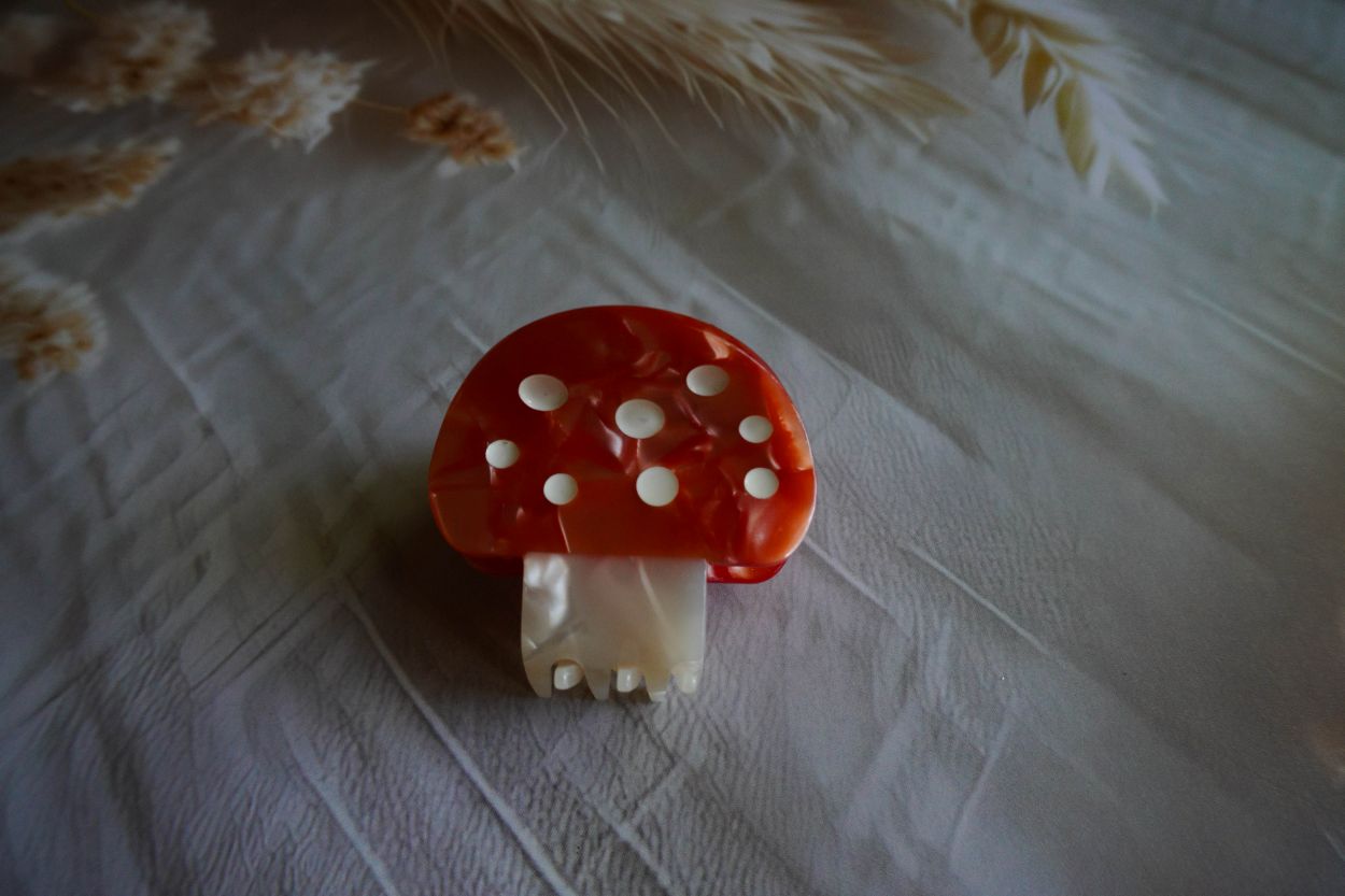 Korean aesthetic claw clip