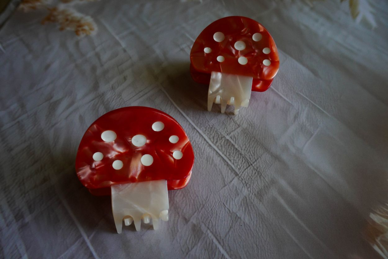 Korean aesthetic claw clip