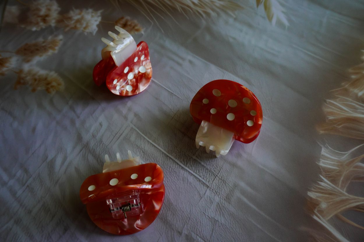 Korean aesthetic claw clip